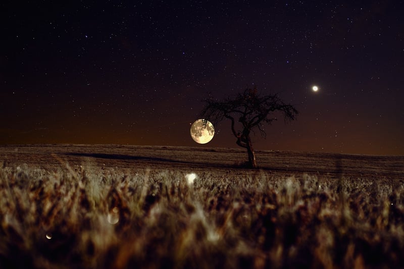 Moon